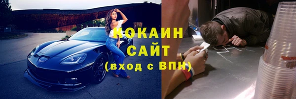 метадон Ельня