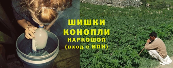 СК Дмитров