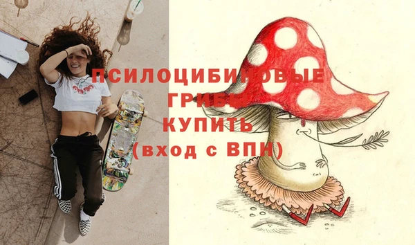 ешки Елизово