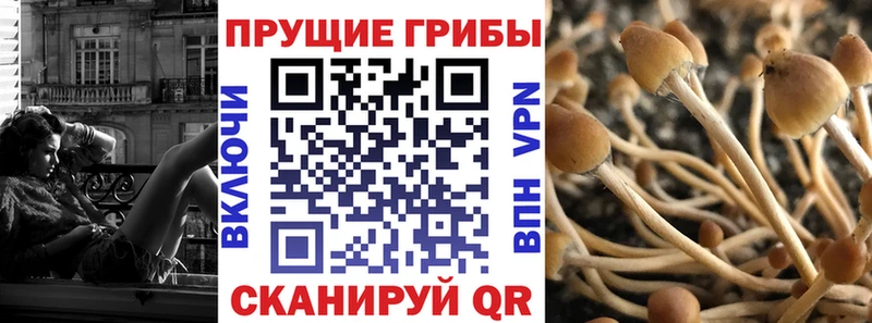 Псилоцибиновые грибы GOLDEN TEACHER  гидра сайт  Черепаново 
